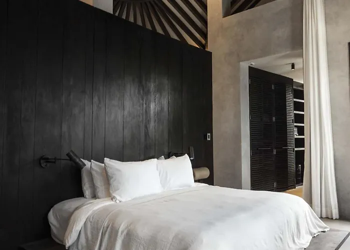 Abrazos By Floreo * San Pedro (Ambergris Caye)