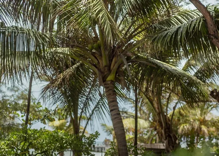 Abrazos By Floreo Villa San Pedro (Ambergris Caye)